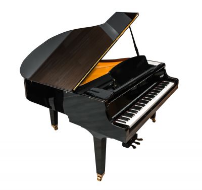 Piano Disassembly